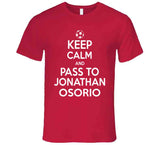Jonathan Osorio Keep Calm Toronto Soccer Fan T Shirt - theSixTshirts