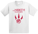 The North Remembers Distressed Toronto Basketball Fan T Shirt
